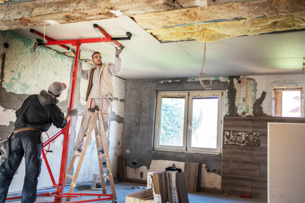 Best Insulation Replacement Services  in Newton, NC