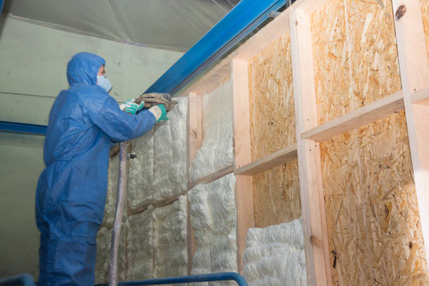 Best Insulation Removal  in Newton, NC