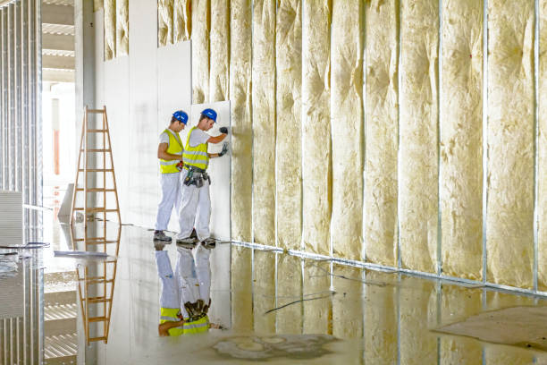 Best Blown-in Insulation  in Newton, NC